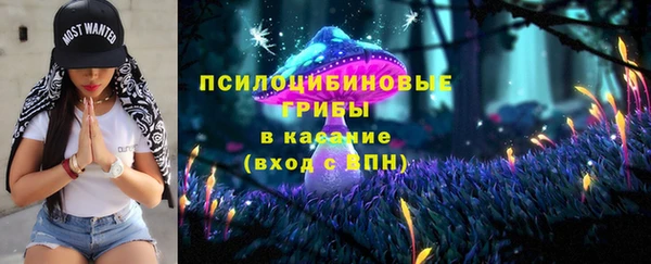 СК Абинск