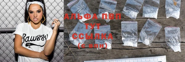 СК Абинск
