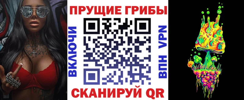 маркетплейс наркотические препараты  Касли  Псилоцибиновые грибы мухоморы  где можно купить наркотик 